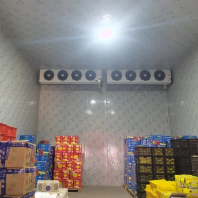 Commercial Industrial Freezer Low Temperature Cold Storage Room