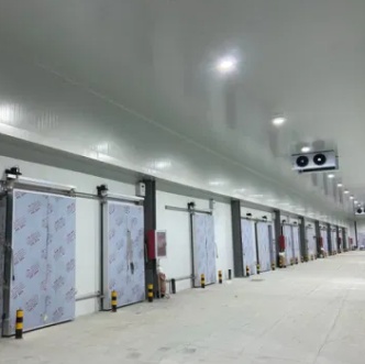 Customized Walk in Freezer Commercial Cold Storage Room with Refrigeration Equipment