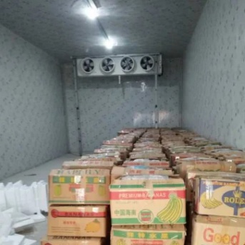 Retain Fresh Fruit Walk in Freezer Refrigeration Cold Room for Sales