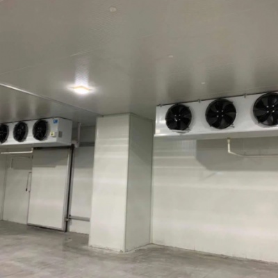 Evaporative Cooling Cold Storage Room for Refrigeration System Walk in Freezer
