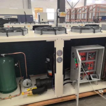 cold coom storage for retain fruit meat fish good compressor
