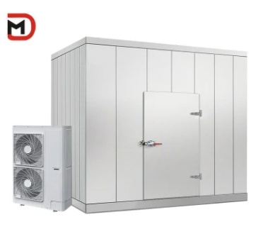2024 New Design Top Selling Mobile Insulated Freezer Container Cold Room