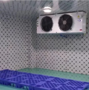 Cold Storage Room Price Refrigeration Equipments Cold Room