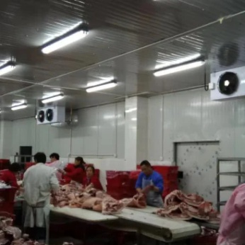 Insulating Panel Forfish Fridges Refrigerated Freezer Wall Panel Cold Room