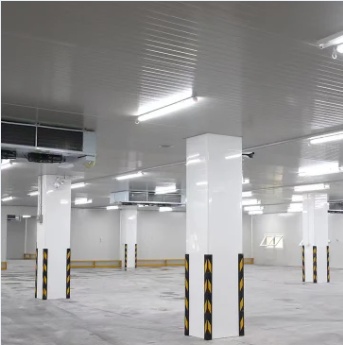Cold Room Processing Plant/Processing Room for Poultry, Slaughter, Meat